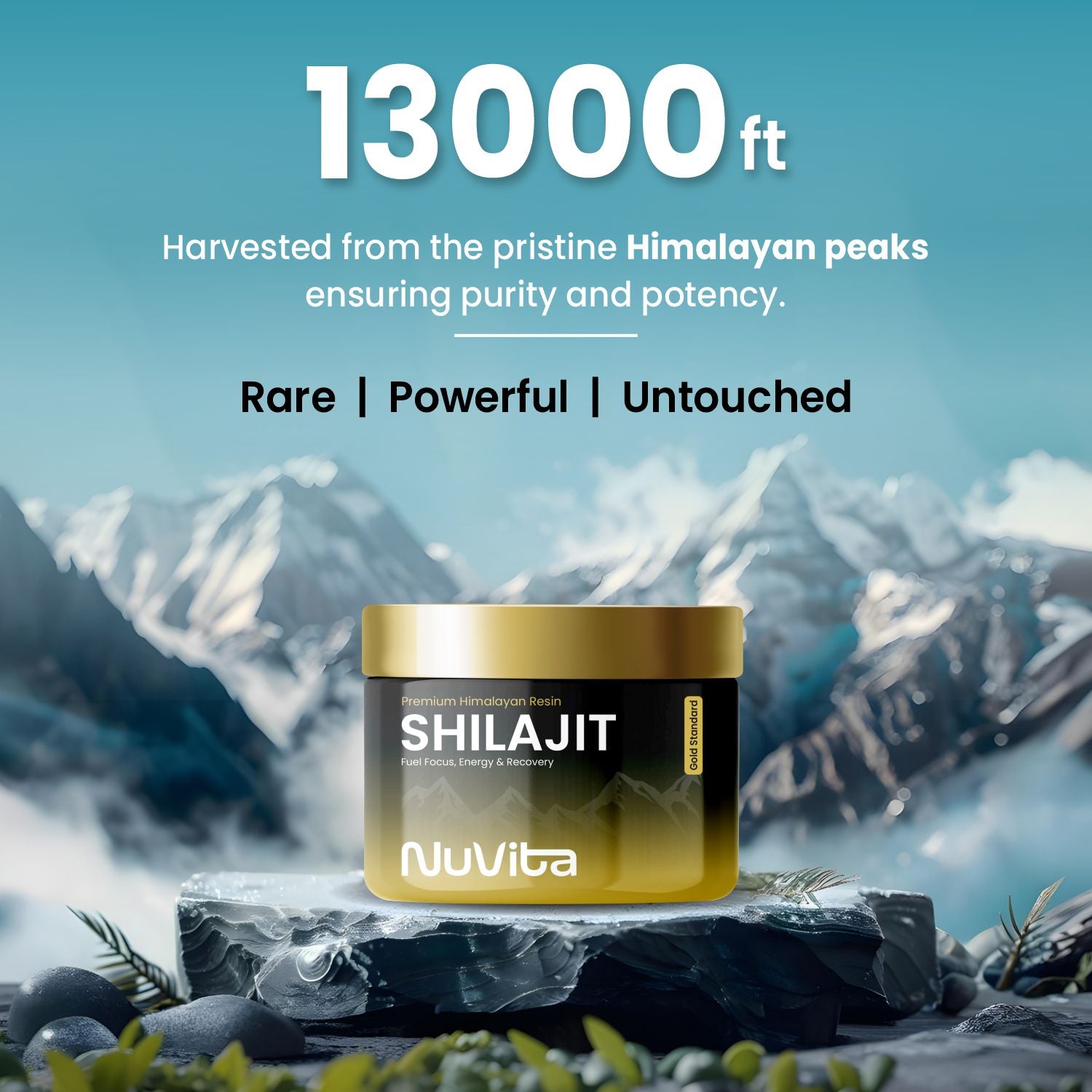 Pure Shilajit | Natural Himalayan Gold Standard Mineral Complex | 50g